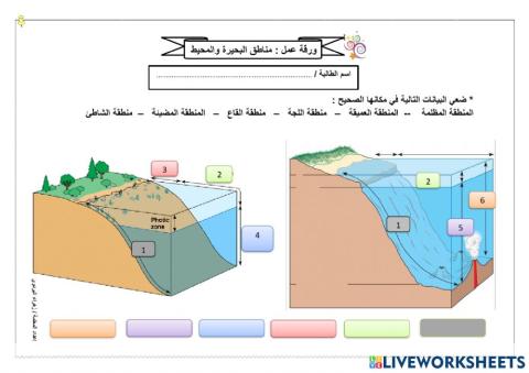 مناطق البحيرة والمحيط