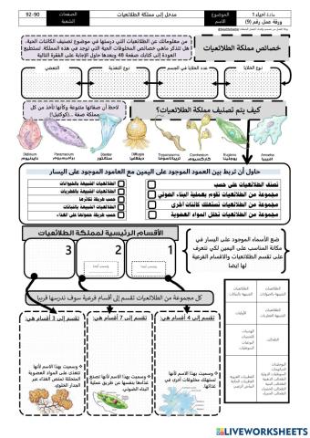 مدخل إلى مملكة الطلائعيات