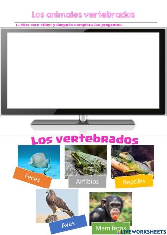 Los animales vertebrtados