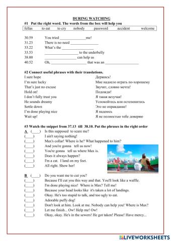 Тайная жизнь домашних питомцев