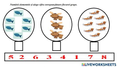 Raportare 1 - varianta 1