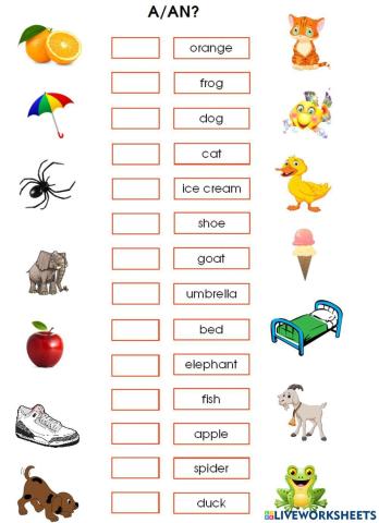 A or an worksheet