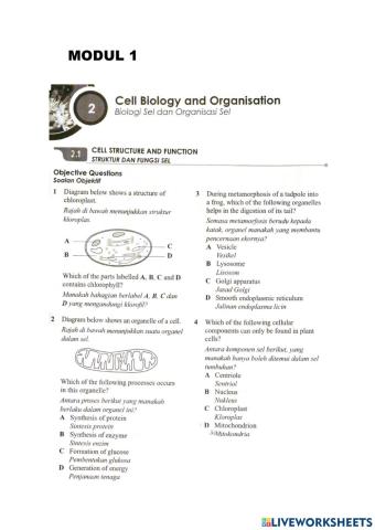 Cell structure and functions