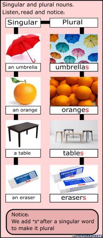 Singular and plural nouns