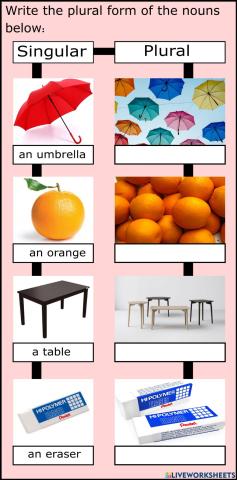 Singular and plural nouns exercises