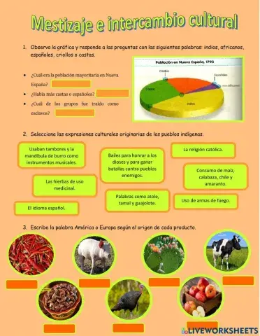 Mestizaje e intercambio cultural