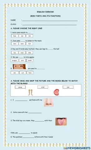Body parts and its function