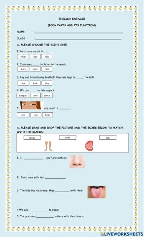 Body parts and its function