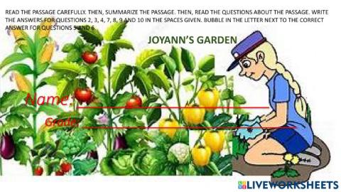 Joyann's garden