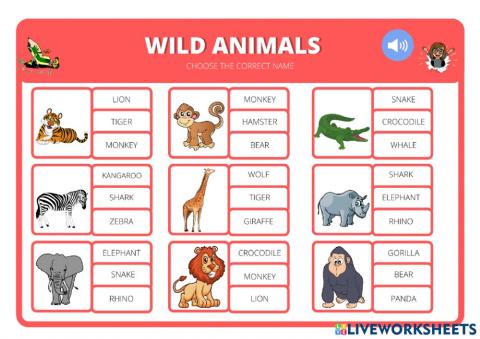 Wild animals-1