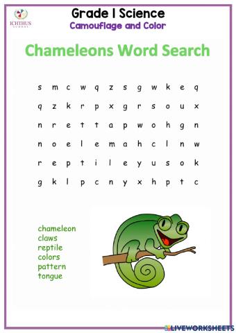 Chameleon