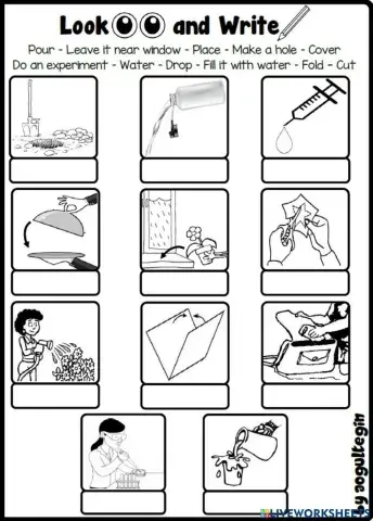 4.6. Fun With Science