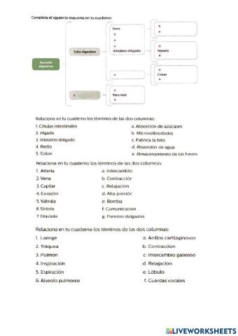 Examen biología