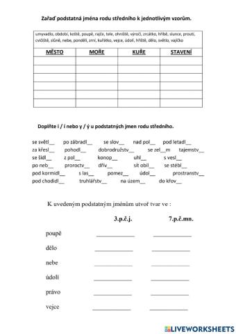 Podstatná jména rodu středního 2