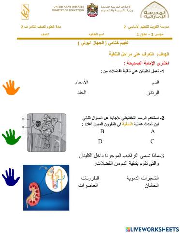 الجزء الثالث الجهاز الهضمي