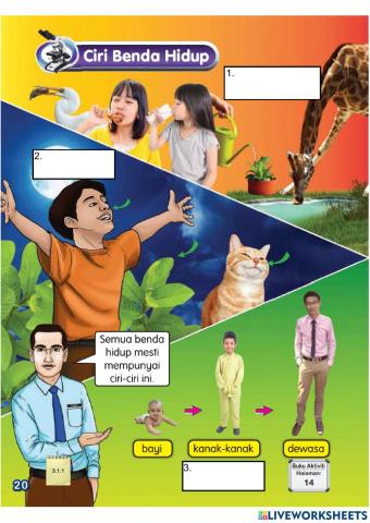 Latihan Ciri benda hidup