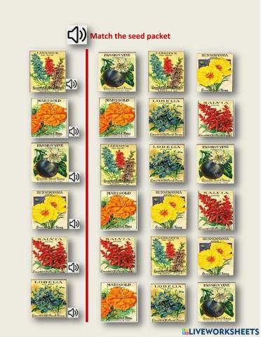 Match the seed packet - LN