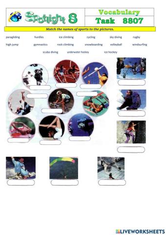 Spotlight 8 Task 8807