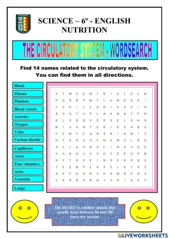 Nutrition - circulatory system