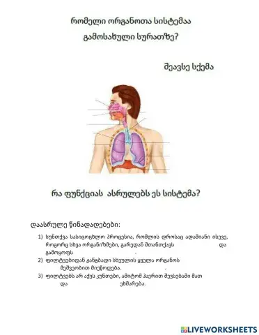 Სასუნთქი სისტემა1