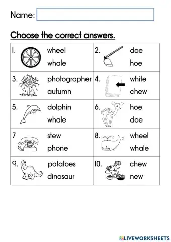 Phonics Year 2: wh, ph, ew, oe, au