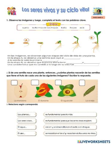 Seres vivos y su ciclo vital