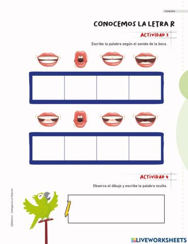Actividad 3 y 4 letra R