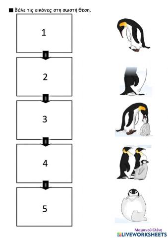 Σειραθέτηση εικόνων