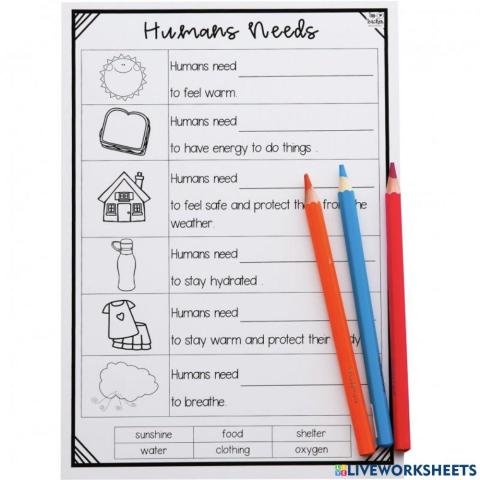 Fundamental human needs 1