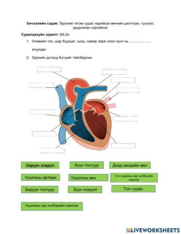 Zurhnii titem sudasnii nariisal