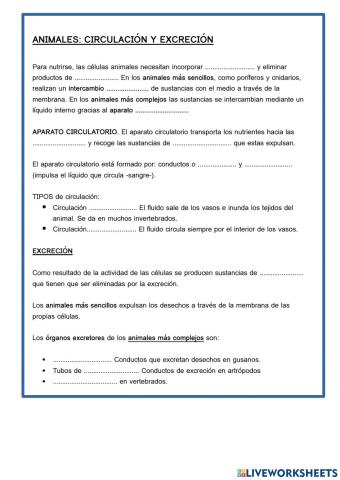 Circulacion Excreción Animales