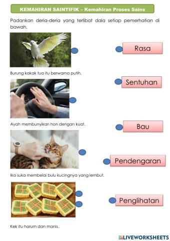 Kemahiran Proses Sains