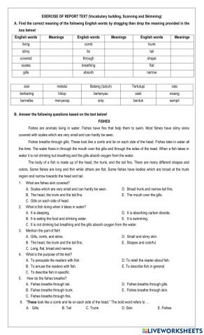 Report Text (Scanning & Skimming