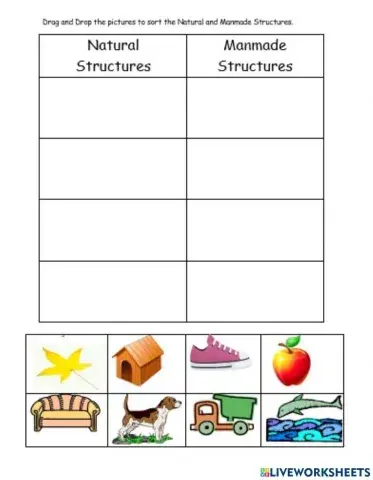 Natural and Manmade Structures