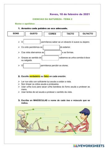 Ciencias naturais repaso tema 2