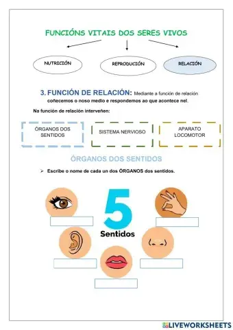 Repaso función de relación