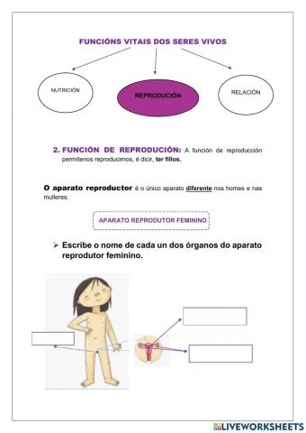 Repaso función de reprodución