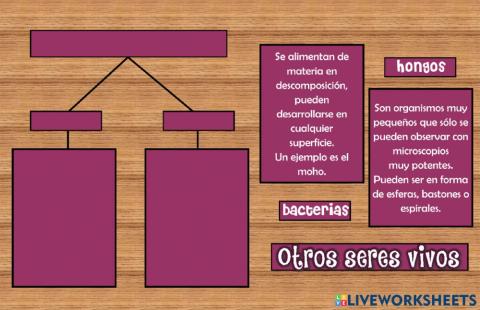 Otros seres vivos