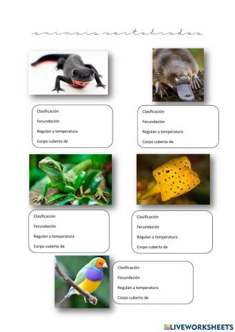Os animais vertebrados