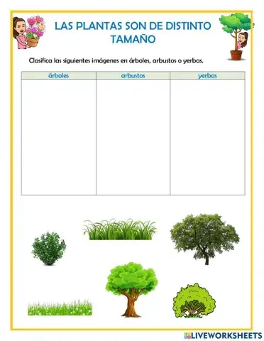 Árbol, arbusto o yerba