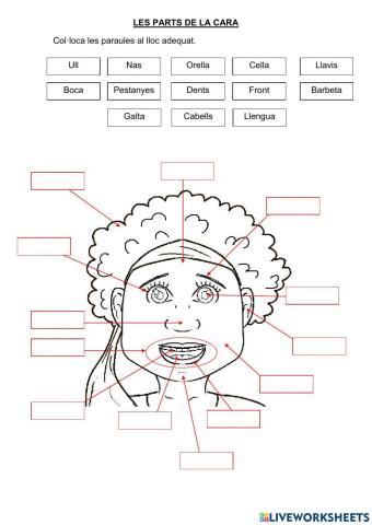 Les parts de la cara