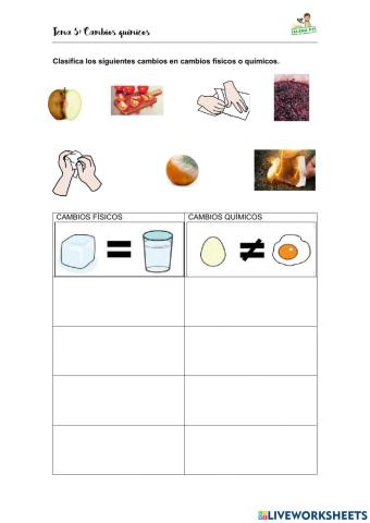 Cambios físicos y químicos