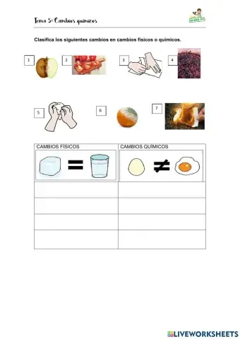 Cambios físicos y químicos