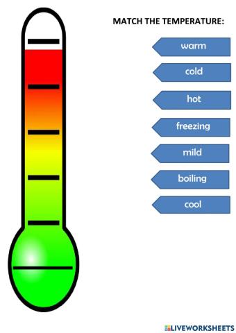 Thermometer
