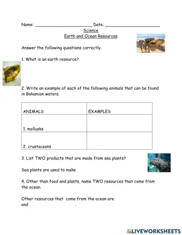 Earth Resources