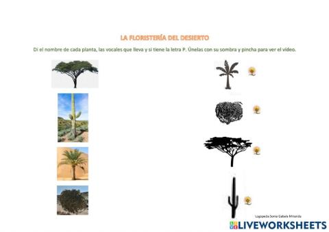 Las plantas del desierto