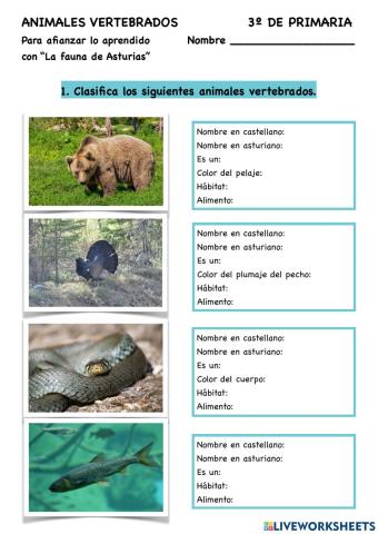 Animales vertebrados