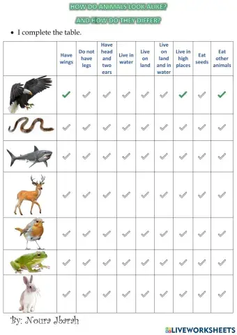 How do animals look alike? and how do they differ?