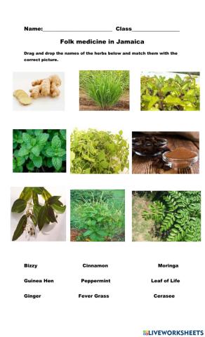Folk medicines in Jamaica