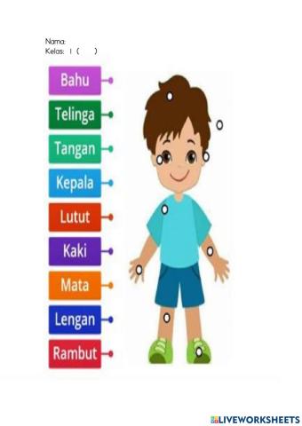 Anggota Badan Saya (Transisi 2021)